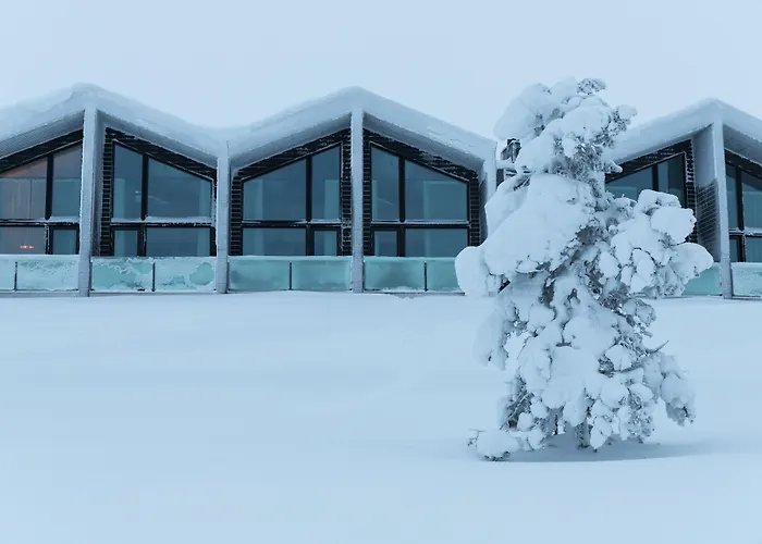 Star Arctic Hotel & Activities